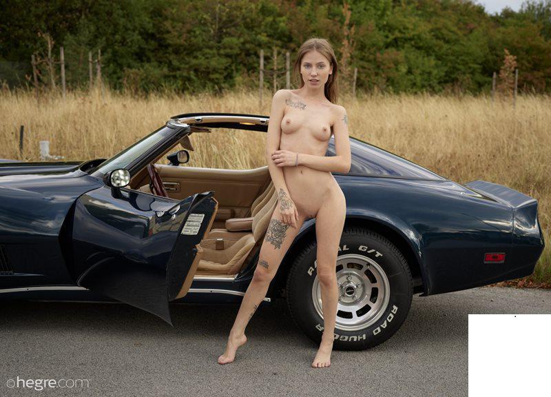 Molli Car Porn【44P】
